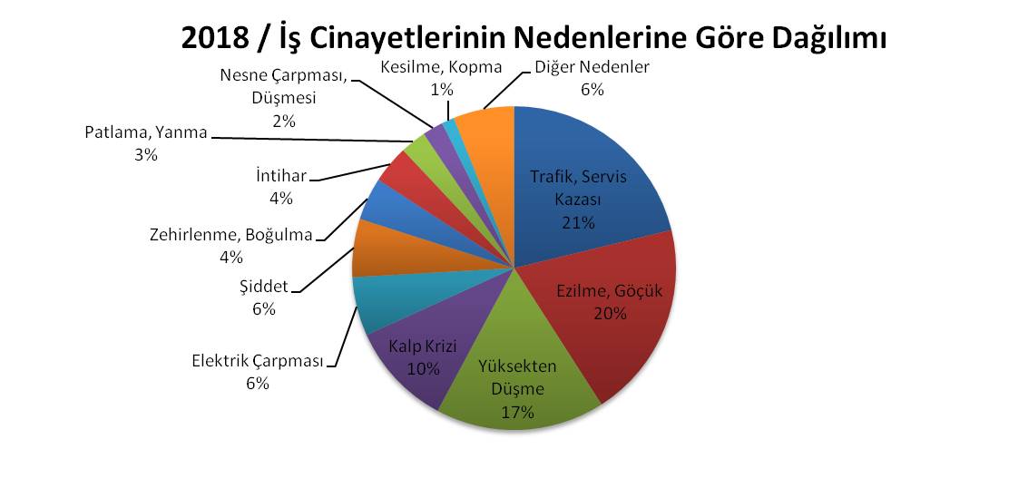 z4_nedenler.jpg